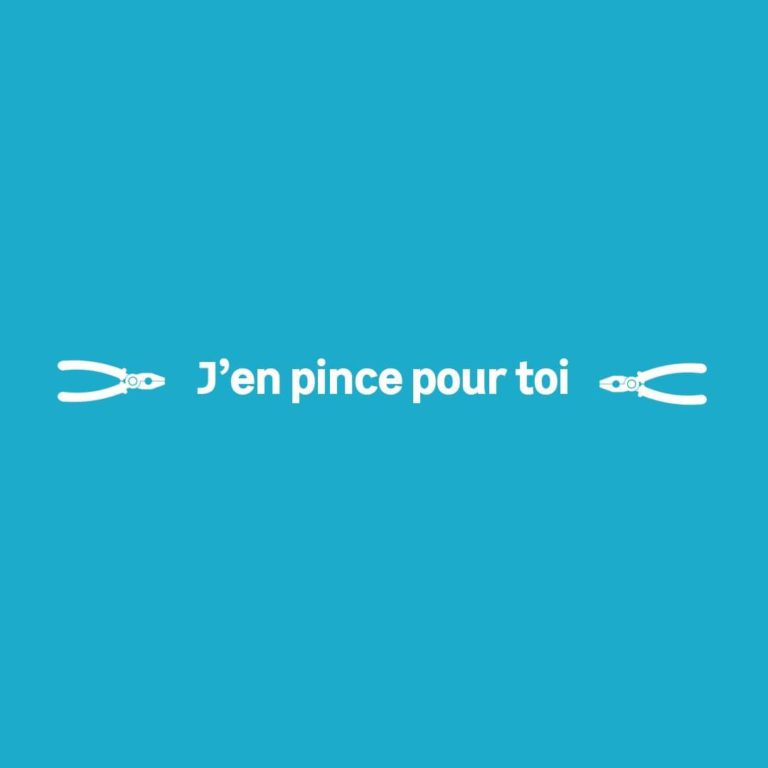 Saint-Valentin-Leroy-Merlin