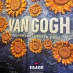 van gogh museum